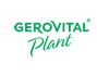 gerovital plant